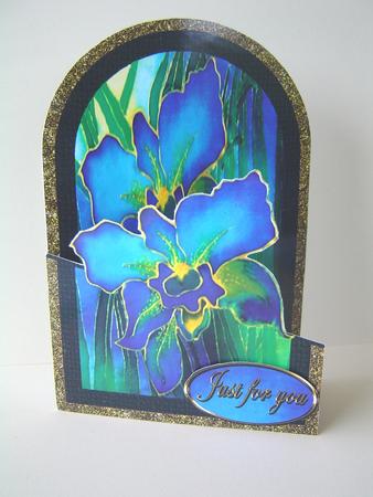 Cutaway Irises by Marilyn Clarke