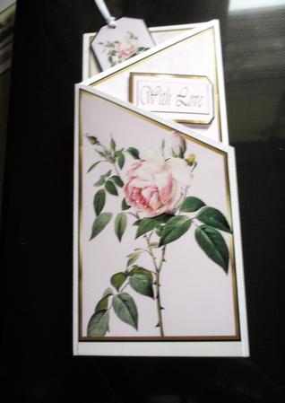 Rose Cascade by MMarilyn Willson