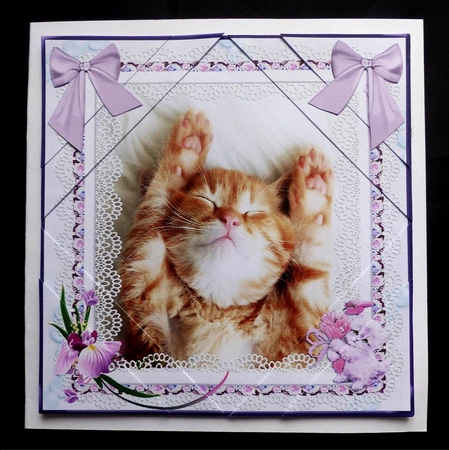 Lazy Kitty Mini Kit by Maz Kfk