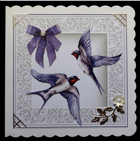 Swallow birds by Maz Kfk