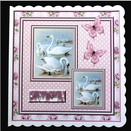 Swan Song by Maz Kfk