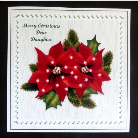 Cu Christmas Poinsettias by Maz Kfk