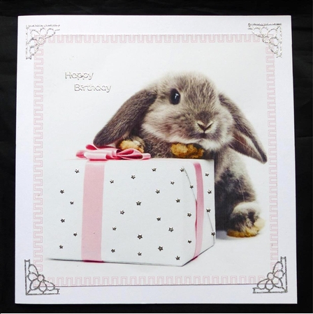 Cute Rabbit 2 8x8 Quick Card by Maz Kfk