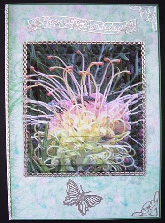 Pastel Flower with Bees Card Front by Maz Kfk