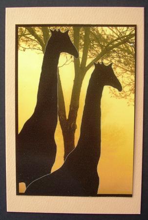 Sunset in the Jungle by Maz Kfk