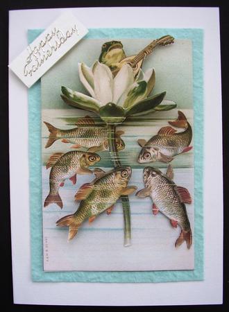 Frog Song - Step by Step by Maz Kfk