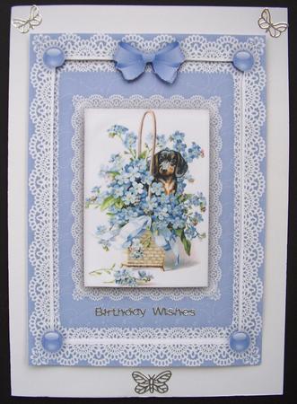 Forget Me Nots, Puppy 'n Lace A4 Card Front by Maz Kfk