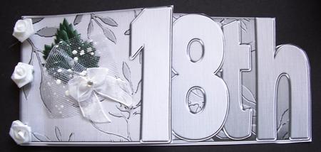 18th Elegant Metallic Book Sheet by Maz Kfk