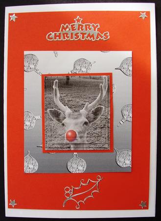 Silver Metallic Embossed Baubles by Maz Kfk
