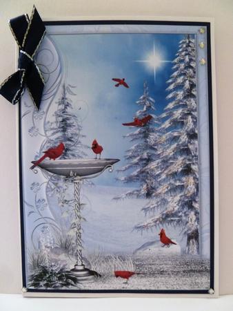 Red Cardinals & Snowy Trees by Maz Kfk