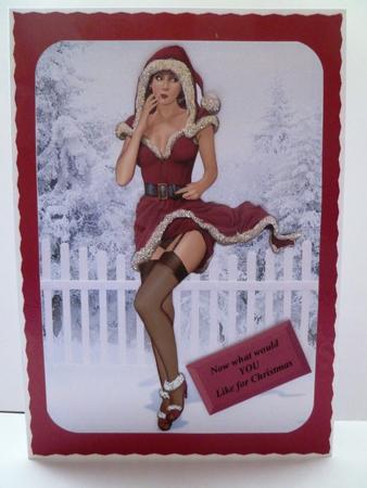 1950's Pin Up Girl Eva Grace Winter Wonderland (red) A4 by Maz Kfk