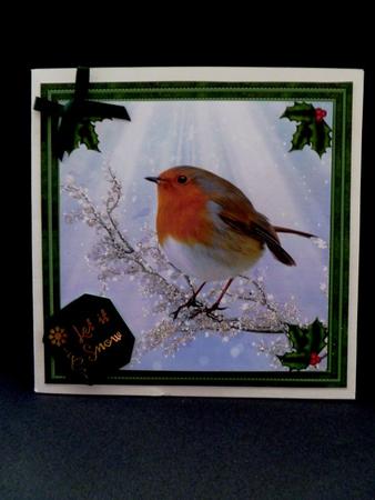 Gorgeous Robin & Holly - Quick Topper by Maz Kfk