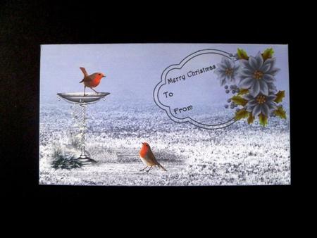 Poinsettias and Robin Money Wallet by Maz Kfk