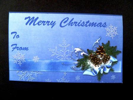 Pinecone Moneywallet Blue by Maz Kfk
