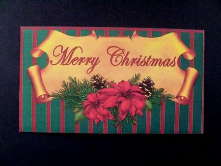 Poinsetta on a Scroll Moneywallet by Maz Kfk