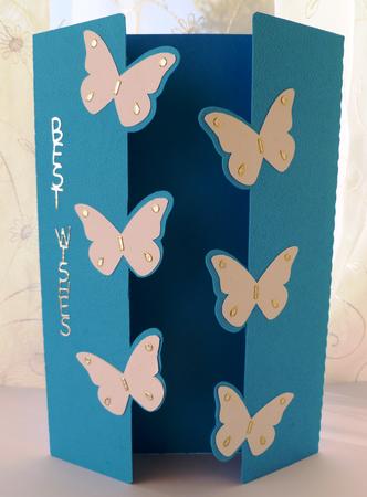 Butterfly Gatefold by Maz Kfk
