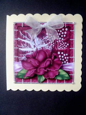 Winter Roses by Maz Kfk