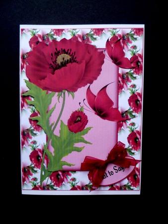 Get Well Poppies by Maz Kfk