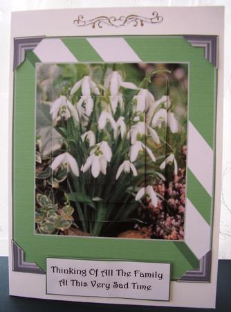 Snowdrops and Euyonumous Sympathy Stacker by Maz Kfk