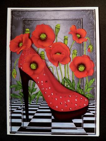 Special Shoes & Poppys by Maz Kfk