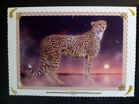 Cheetah Dreams by Maz Kfk