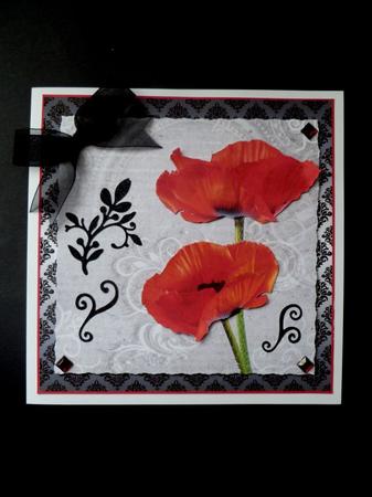 Poppy Duo on Grey 8x8inch Step by Step by Maz Kfk