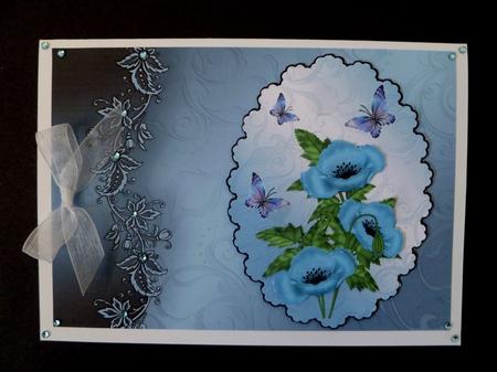 Himalayan Poppies by Maz Kfk