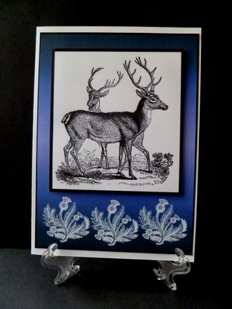 Stags by Maz Kfk
