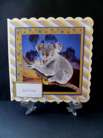 Koala Mini Kit by Maz Kfk