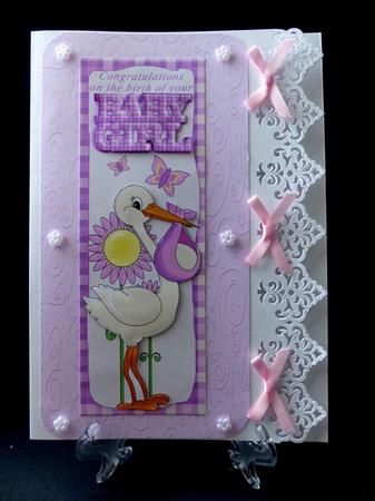 New Baby Girl Stork Large Dl Card by Maz Kfk