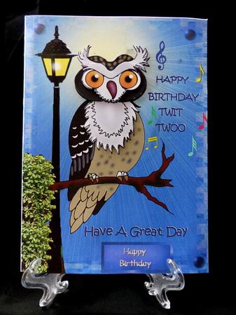 Night Owl by Maz Kfk