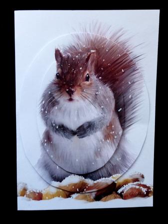 Christmas Squirrel with Winter Store by Maz Kfk