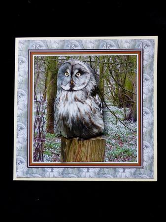 Ural Owl 3D Decoupage by Maz Kfk