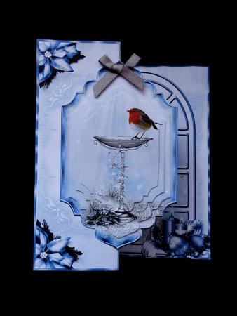 No Holes Fold Card the Robin by Maz Kfk