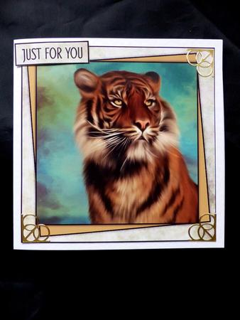 Gorgeous Tiger Male or Female Card by Maz Kfk