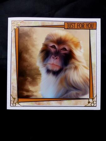 Gorgeous Monkey Male or Female Card by Maz Kfk