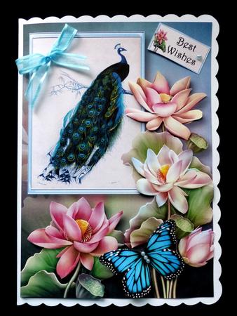 Peacock & Lotus Blooms A5 by Maz Kfk