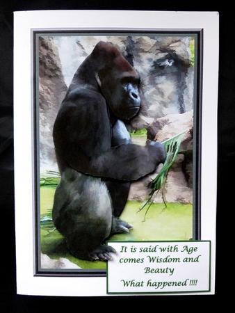 Gorilla 3D Decoupage by Maz Kfk