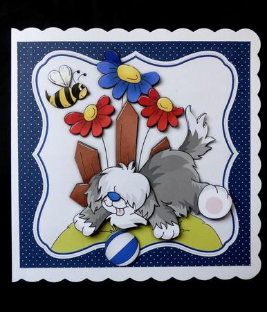 Shaggy Dog Story - 8" Square Card Mini-kit by Maz Kfk