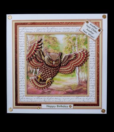Wise Old Bird 8x8 Mini Kit with Ages & Decoupage by Maz Kfk
