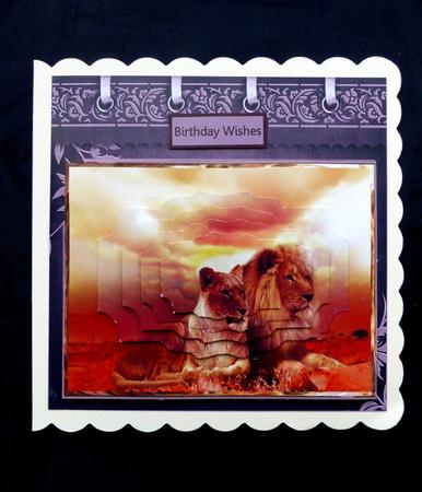 Lions at Sunset Card with Pyramid Layers by Maz Kfk