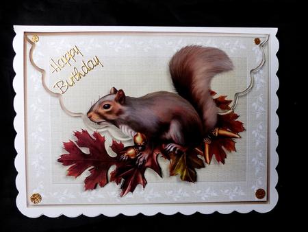 Squirrel Scalloped Edge Faux Envelope Card by Maz Kfk