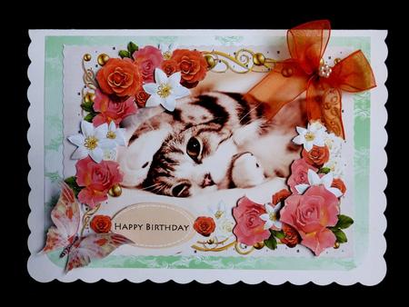 8 Beautiful Backing Papers by Maz Kfk