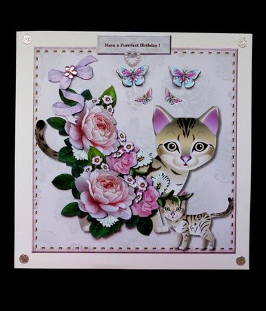 Purrrfect Birthday 3 by Maz Kfk