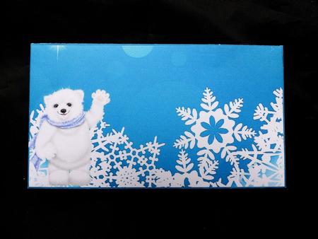 Polar Bear Money Wallet by Maz Kfk