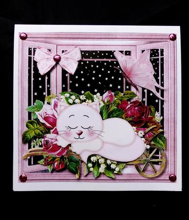 Sleeping Belle Birthday Girl Cute Card by Maz Kfk