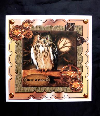 Scallop Topper Male Card Wise Owl by Maz Kfk