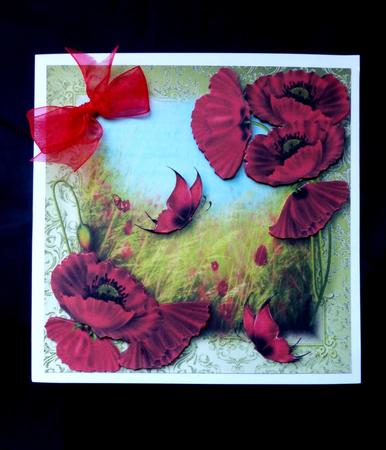 Pretty Poppies & Butterflies by Maz Kfk