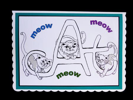 Cats in the Cat Home by Maz Kfk