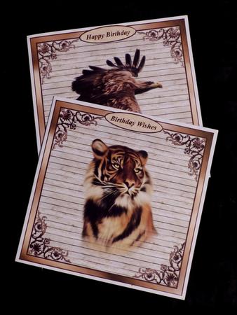 Mixed 8x8 Animal Papers by Maz Kfk